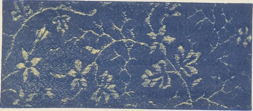 An illustration from Colour in woven design, 1890, leaf 470