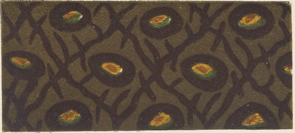 An illustration from Colour in woven design, 1890, leaf 470