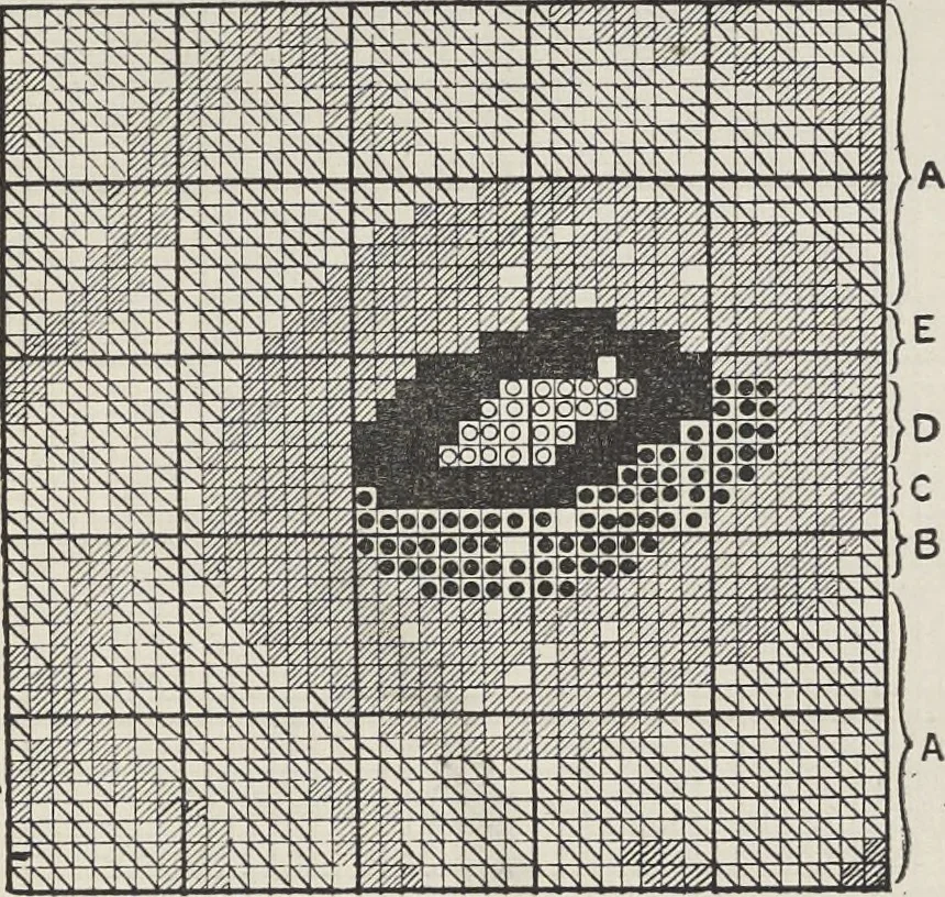 An illustration from Colour in woven design, 1890, leaf 484