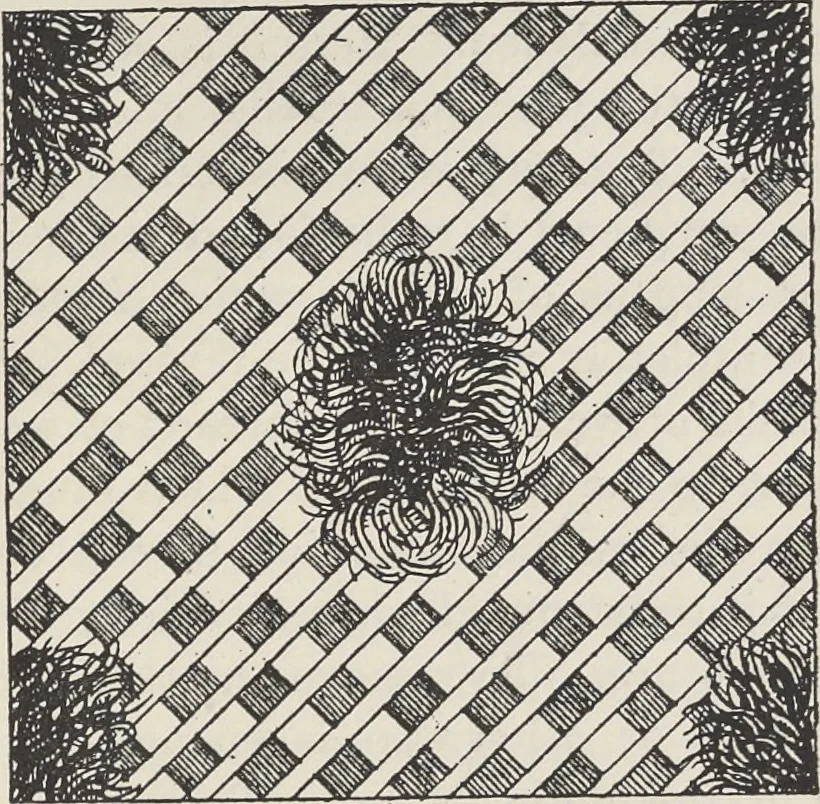 An illustration from Colour in woven design, 1890, leaf 502