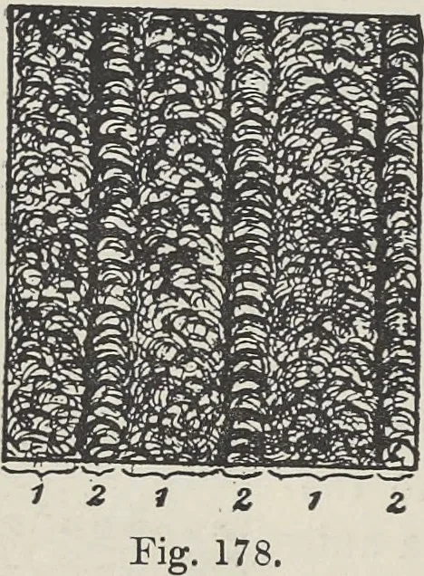 An illustration from Colour in woven design, 1890, leaf 509