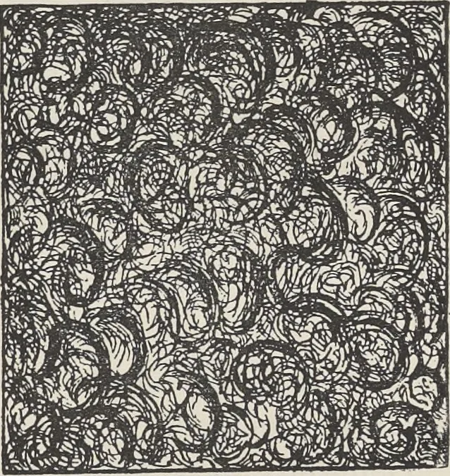 An illustration from Colour in woven design, 1890, leaf 510