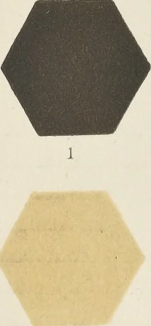 An illustration from Colour in woven design, 1890, leaf 66