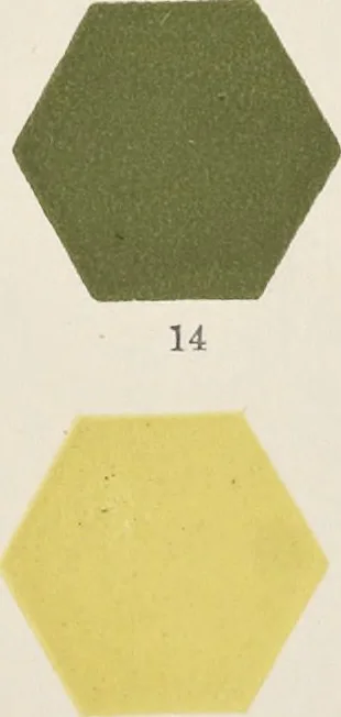 An illustration from Colour in woven design, 1890, leaf 66