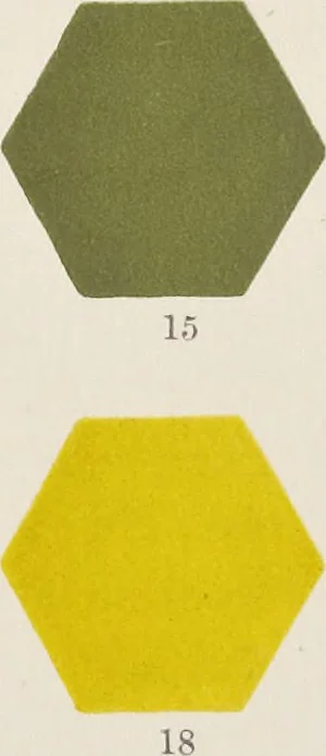 An illustration from Colour in woven design, 1890, leaf 66