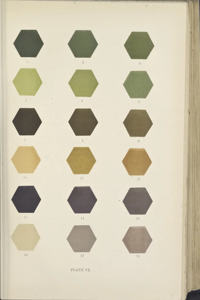 An illustration from Colour in woven design, 1890, leaf 88
