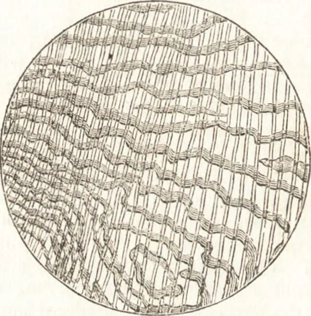 An illustration from A treatise on optics, 1839, leaf 111