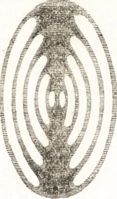 An illustration from A treatise on optics, 1839, leaf 180