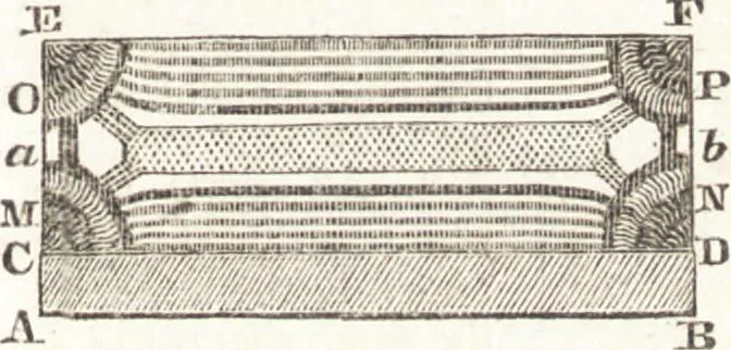 An illustration from A treatise on optics, 1839, leaf 204