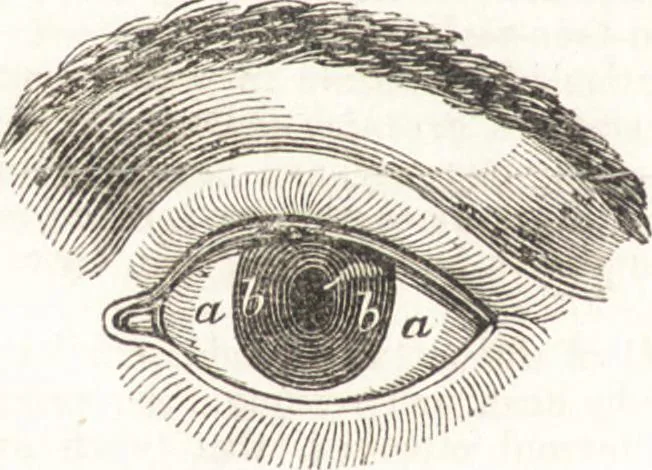 An illustration from A treatise on optics, 1839, leaf 245