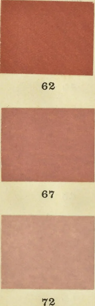 An illustration from Code des couleurs : à l'usage des naturalistes, artistes, commerçants et industriels : 720 échantillons de couleurs classés d'après la méthode Chevreul simplifiée, 1908, leaf 41