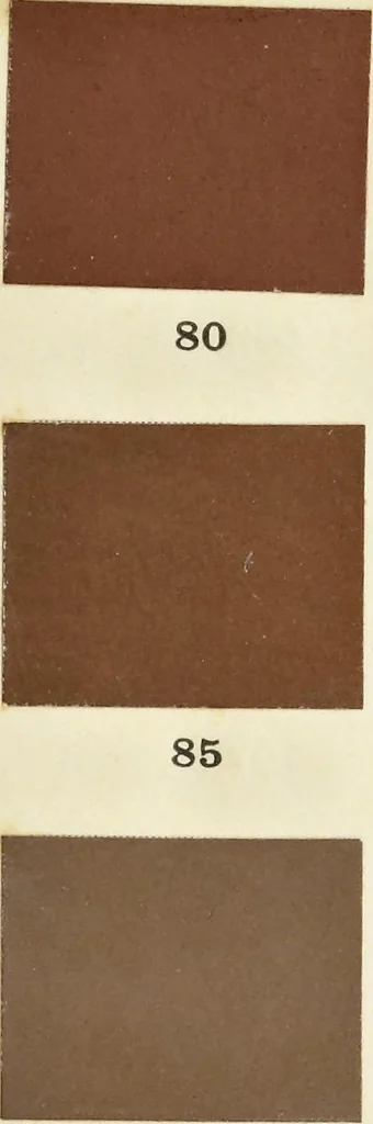 An illustration from Code des couleurs : à l'usage des naturalistes, artistes, commerçants et industriels : 720 échantillons de couleurs classés d'après la méthode Chevreul simplifiée, 1908, leaf 44