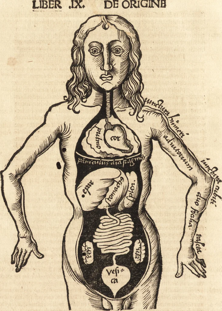 An illustration from Margarita philosophica, 1503, leaf 429