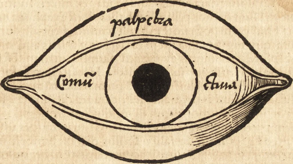 An illustration from Margarita philosophica, 1503, leaf 446