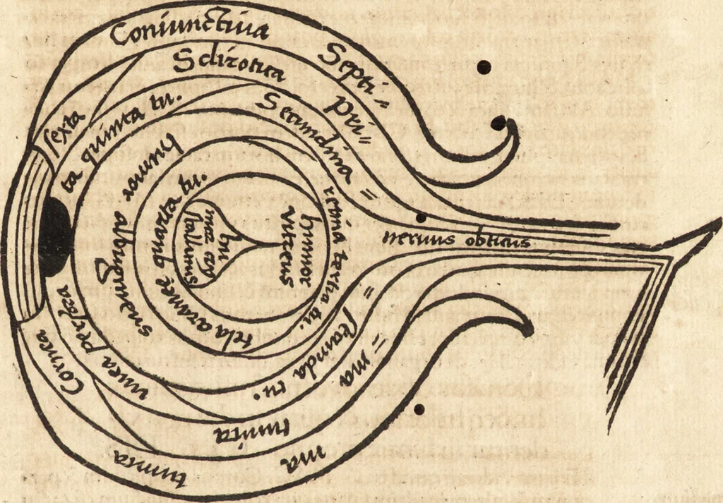 An illustration from Margarita philosophica, 1503, leaf 446