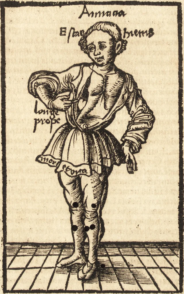An illustration from Margarita philosophica, 1503, leaf 555