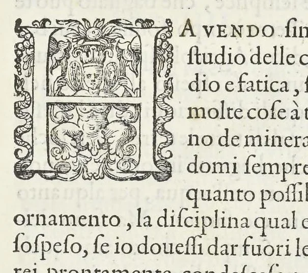 An illustration from Dell'historia natvrale di Ferrante Imperato napoletano libri XXVIII : nella qvale ordinatamente si tratta della diuersa condition di miniere e pietre : con alcune historie di piante & animali, sin'hora non date in luce, 1599, leaf 32
