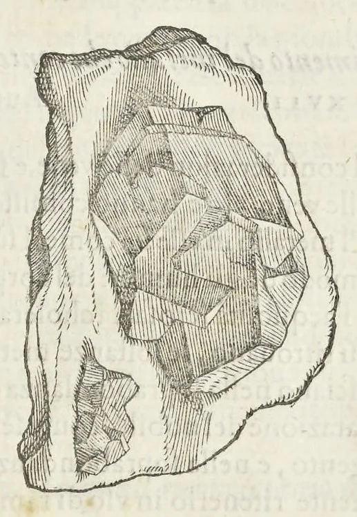 An illustration from Dell'historia natvrale di Ferrante Imperato napoletano libri XXVIII : nella qvale ordinatamente si tratta della diuersa condition di miniere e pietre : con alcune historie di piante & animali, sin'hora non date in luce, 1599, leaf 492