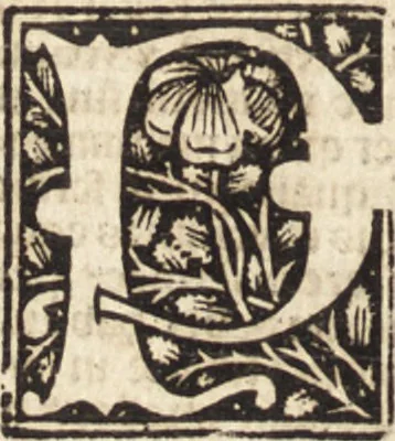 An illustration from Illuminati sacre pagine p.fessoris amplissimi magistri Raymundi Lull. Ars magna, generalis et vltima : quarũcunq3 artium [et] scientiarum ipsius Lull. assecutrix et clauigera : [et] ad eas aditum faciliorẽ prebẽs, antehac nusq̃3 arti impressorie emũctius cõmendata, 1517, leaf 277
