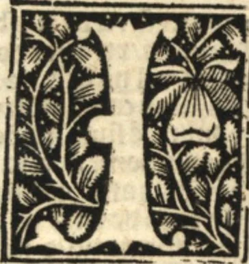 An illustration from Illuminati sacre pagine p.fessoris amplissimi magistri Raymundi Lull. Ars magna, generalis et vltima : quarũcunq3 artium [et] scientiarum ipsius Lull. assecutrix et clauigera : [et] ad eas aditum faciliorẽ prebẽs, antehac nusq̃3 arti impressorie emũctius cõmendata, 1517, leaf 40