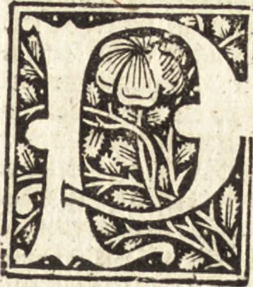 An illustration from Illuminati sacre pagine p.fessoris amplissimi magistri Raymundi Lull. Ars magna, generalis et vltima : quarũcunq3 artium [et] scientiarum ipsius Lull. assecutrix et clauigera : [et] ad eas aditum faciliorẽ prebẽs, antehac nusq̃3 arti impressorie emũctius cõmendata, 1517, leaf 90