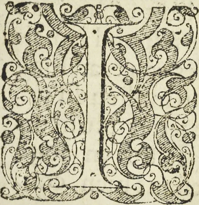 An illustration from Les raisons des forces mouuantes auec diuerses machines tant vtilles que plaisantes aus quelles sont adioints plusieurs desseings de grotes et fontaines, 1615, leaf 102
