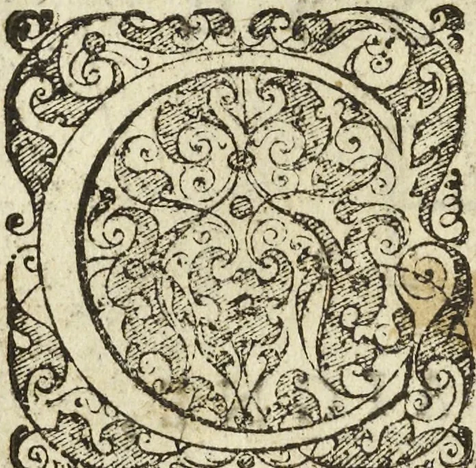 An illustration from Les raisons des forces mouuantes auec diuerses machines tant vtilles que plaisantes aus quelles sont adioints plusieurs desseings de grotes et fontaines, 1615, leaf 103