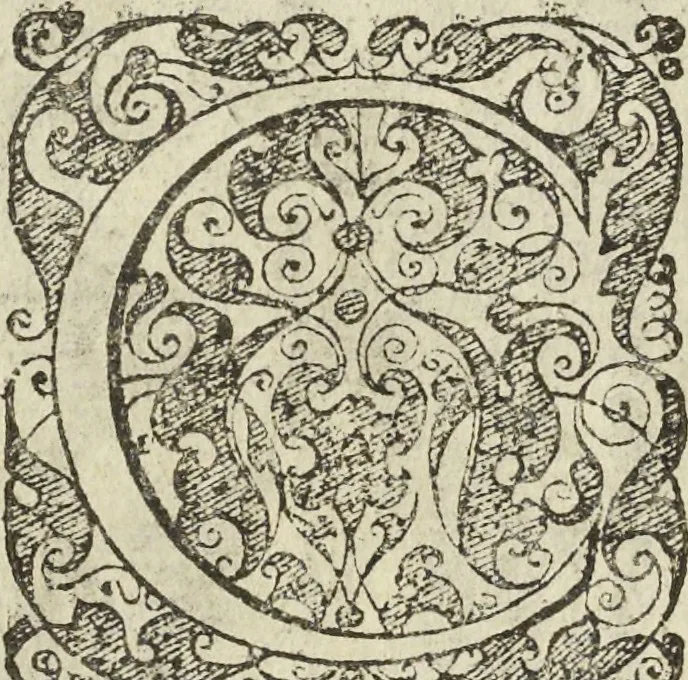 An illustration from Les raisons des forces mouuantes auec diuerses machines tant vtilles que plaisantes aus quelles sont adioints plusieurs desseings de grotes et fontaines, 1615, leaf 105