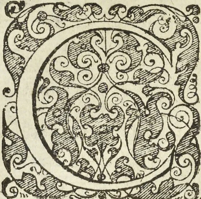An illustration from Les raisons des forces mouuantes auec diuerses machines tant vtilles que plaisantes aus quelles sont adioints plusieurs desseings de grotes et fontaines, 1615, leaf 107