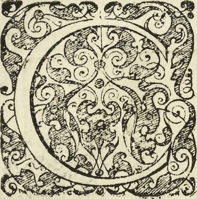 An illustration from Les raisons des forces mouuantes auec diuerses machines tant vtilles que plaisantes aus quelles sont adioints plusieurs desseings de grotes et fontaines, 1615, leaf 109