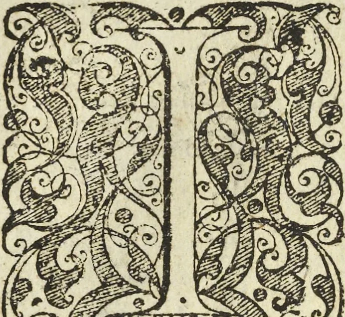 An illustration from Les raisons des forces mouuantes auec diuerses machines tant vtilles que plaisantes aus quelles sont adioints plusieurs desseings de grotes et fontaines, 1615, leaf 111