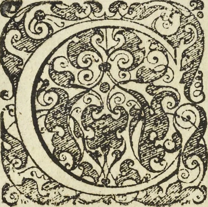 An illustration from Les raisons des forces mouuantes auec diuerses machines tant vtilles que plaisantes aus quelles sont adioints plusieurs desseings de grotes et fontaines, 1615, leaf 113