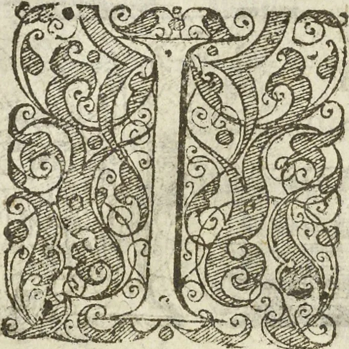 An illustration from Les raisons des forces mouuantes auec diuerses machines tant vtilles que plaisantes aus quelles sont adioints plusieurs desseings de grotes et fontaines, 1615, leaf 117