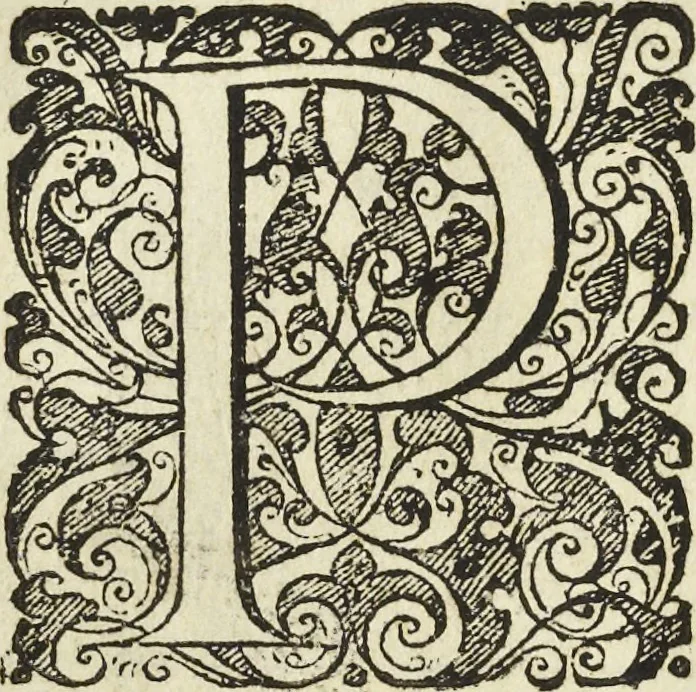 An illustration from Les raisons des forces mouuantes auec diuerses machines tant vtilles que plaisantes aus quelles sont adioints plusieurs desseings de grotes et fontaines, 1615, leaf 119