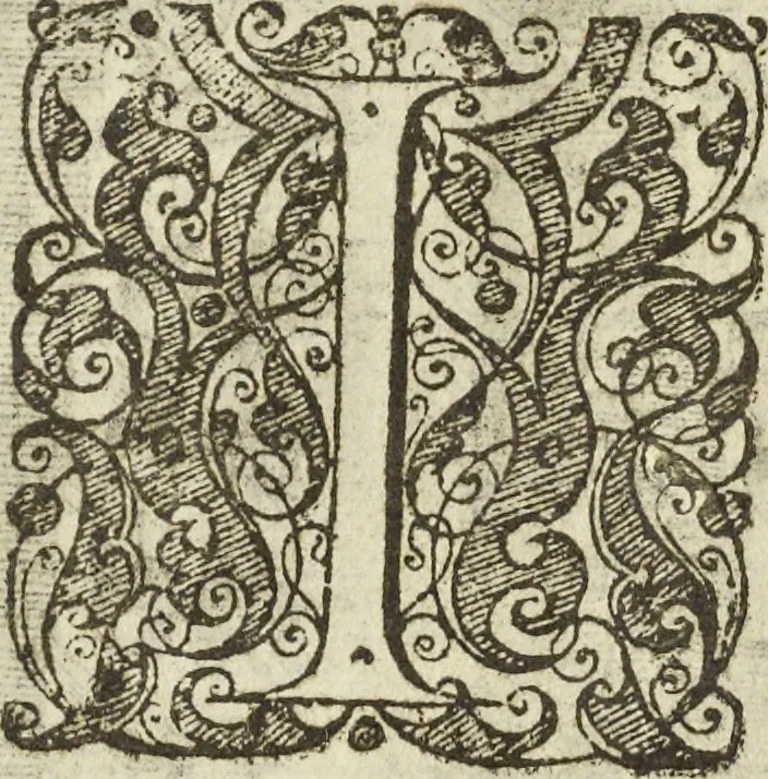 An illustration from Les raisons des forces mouuantes auec diuerses machines tant vtilles que plaisantes aus quelles sont adioints plusieurs desseings de grotes et fontaines, 1615, leaf 125