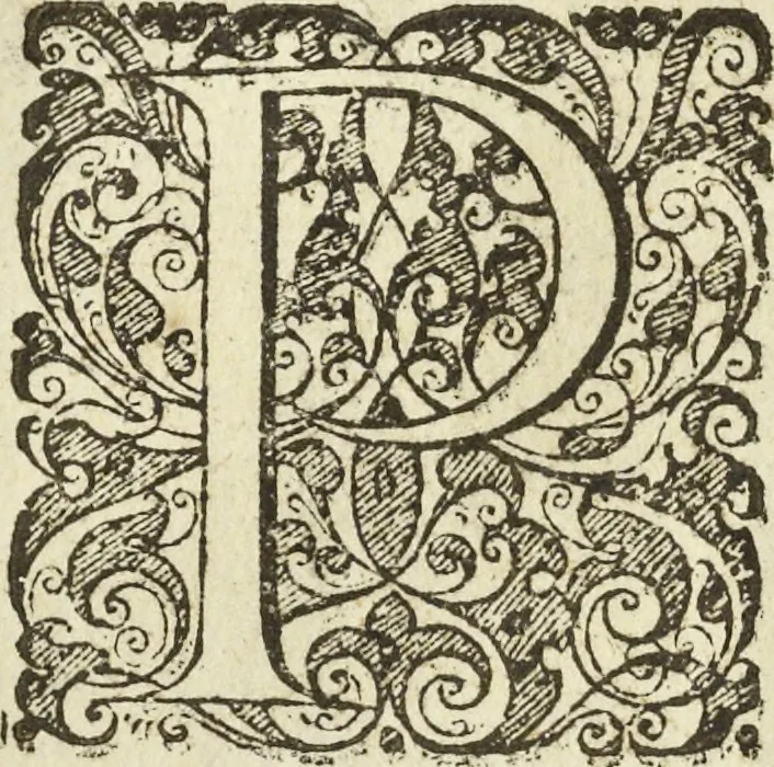 An illustration from Les raisons des forces mouuantes auec diuerses machines tant vtilles que plaisantes aus quelles sont adioints plusieurs desseings de grotes et fontaines, 1615, leaf 129