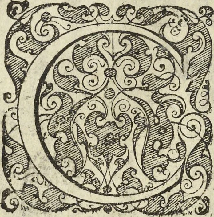 An illustration from Les raisons des forces mouuantes auec diuerses machines tant vtilles que plaisantes aus quelles sont adioints plusieurs desseings de grotes et fontaines, 1615, leaf 133