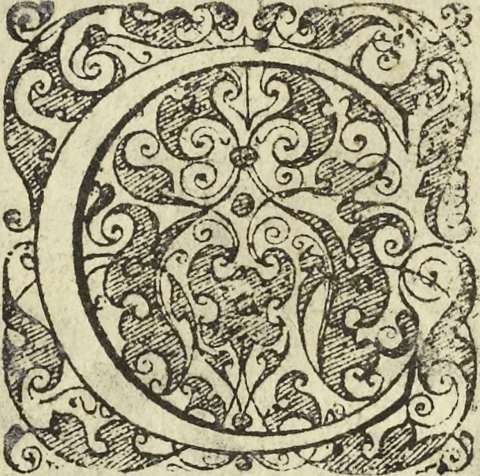 An illustration from Les raisons des forces mouuantes auec diuerses machines tant vtilles que plaisantes aus quelles sont adioints plusieurs desseings de grotes et fontaines, 1615, leaf 135