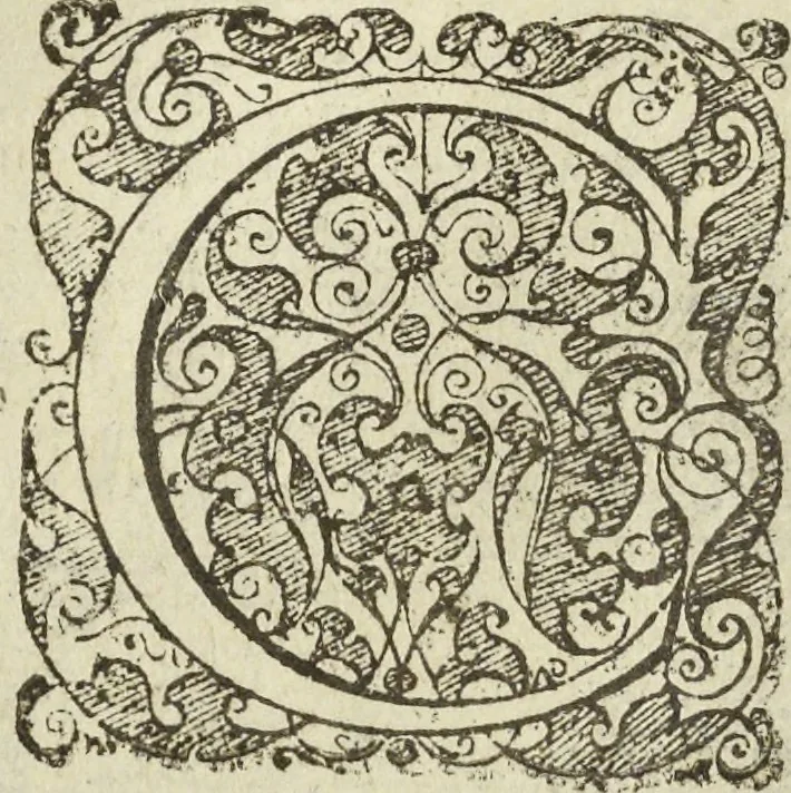An illustration from Les raisons des forces mouuantes auec diuerses machines tant vtilles que plaisantes aus quelles sont adioints plusieurs desseings de grotes et fontaines, 1615, leaf 139