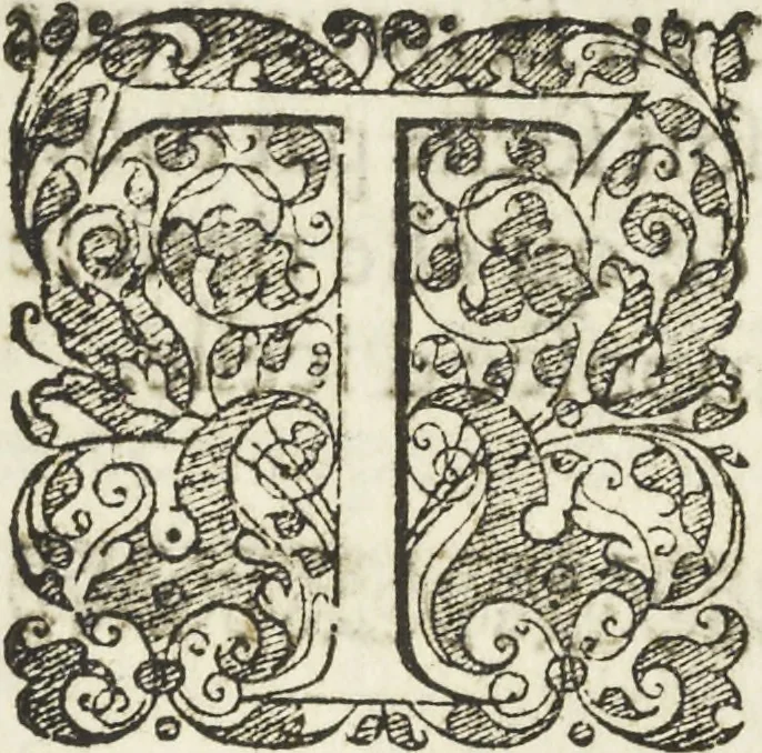 An illustration from Les raisons des forces mouuantes auec diuerses machines tant vtilles que plaisantes aus quelles sont adioints plusieurs desseings de grotes et fontaines, 1615, leaf 14