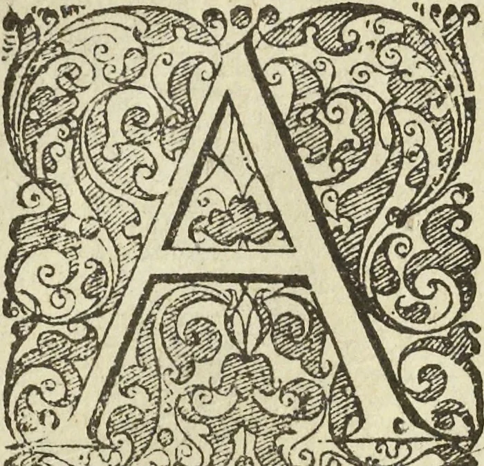 An illustration from Les raisons des forces mouuantes auec diuerses machines tant vtilles que plaisantes aus quelles sont adioints plusieurs desseings de grotes et fontaines, 1615, leaf 141