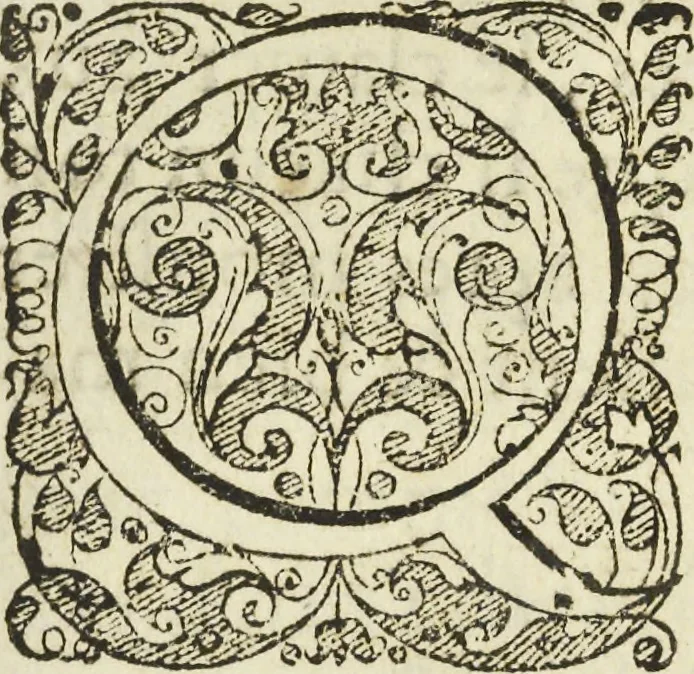 An illustration from Les raisons des forces mouuantes auec diuerses machines tant vtilles que plaisantes aus quelles sont adioints plusieurs desseings de grotes et fontaines, 1615, leaf 146