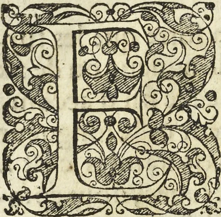 An illustration from Les raisons des forces mouuantes auec diuerses machines tant vtilles que plaisantes aus quelles sont adioints plusieurs desseings de grotes et fontaines, 1615, leaf 151