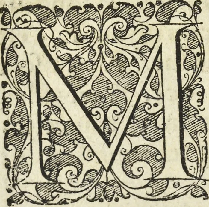 An illustration from Les raisons des forces mouuantes auec diuerses machines tant vtilles que plaisantes aus quelles sont adioints plusieurs desseings de grotes et fontaines, 1615, leaf 151