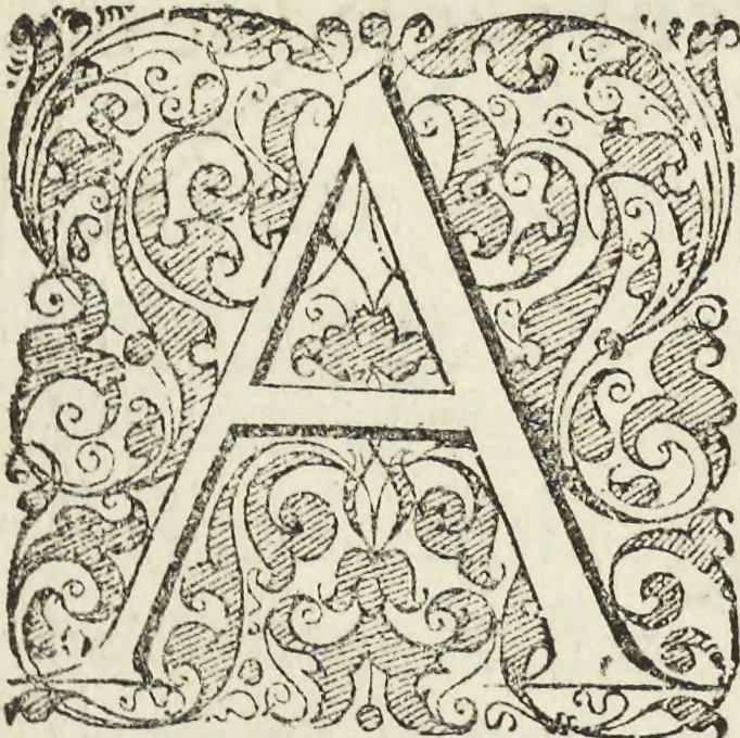 An illustration from Les raisons des forces mouuantes auec diuerses machines tant vtilles que plaisantes aus quelles sont adioints plusieurs desseings de grotes et fontaines, 1615, leaf 152