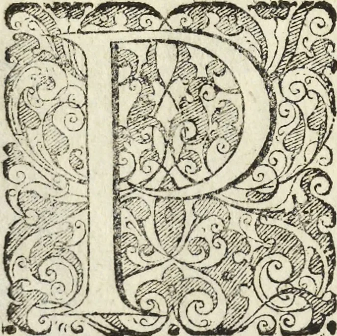 An illustration from Les raisons des forces mouuantes auec diuerses machines tant vtilles que plaisantes aus quelles sont adioints plusieurs desseings de grotes et fontaines, 1615, leaf 153