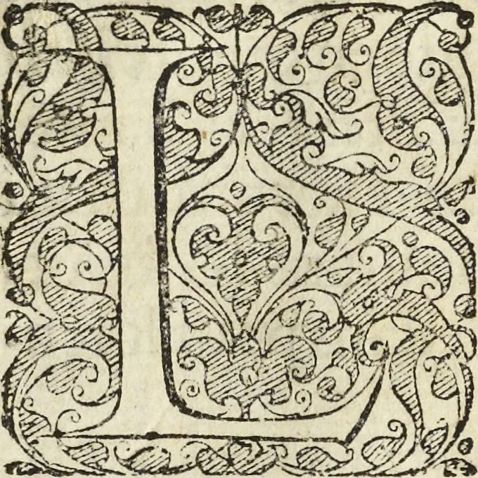 An illustration from Les raisons des forces mouuantes auec diuerses machines tant vtilles que plaisantes aus quelles sont adioints plusieurs desseings de grotes et fontaines, 1615, leaf 155