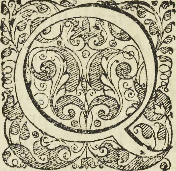 An illustration from Les raisons des forces mouuantes auec diuerses machines tant vtilles que plaisantes aus quelles sont adioints plusieurs desseings de grotes et fontaines, 1615, leaf 158