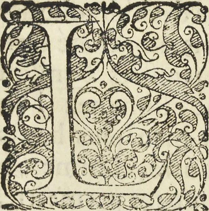 An illustration from Les raisons des forces mouuantes auec diuerses machines tant vtilles que plaisantes aus quelles sont adioints plusieurs desseings de grotes et fontaines, 1615, leaf 158