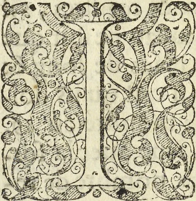 An illustration from Les raisons des forces mouuantes auec diuerses machines tant vtilles que plaisantes aus quelles sont adioints plusieurs desseings de grotes et fontaines, 1615, leaf 159